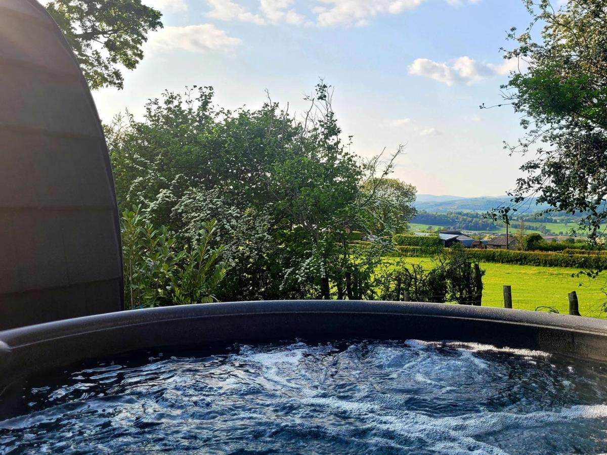 Odli Glamping - Deri Apartamento Welshpool Exterior foto